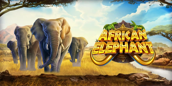 Analisis Mendalam Slot African Elephant Untuk Pemain Serius